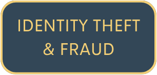 Identity Theft And Fraud Button