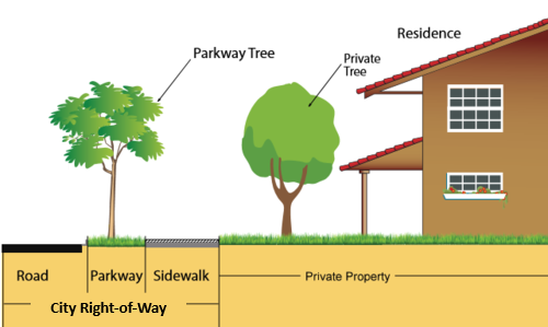 Parkway Tree Chart
